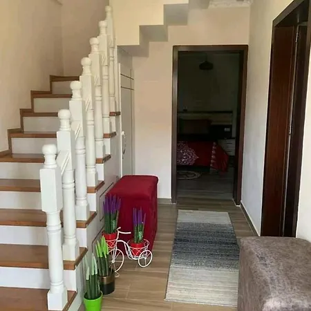 Leo Lux Bed & Breakfast Korce